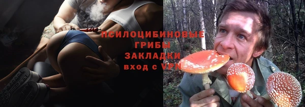 ешки Дмитровск