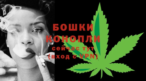 каннабис Дмитров