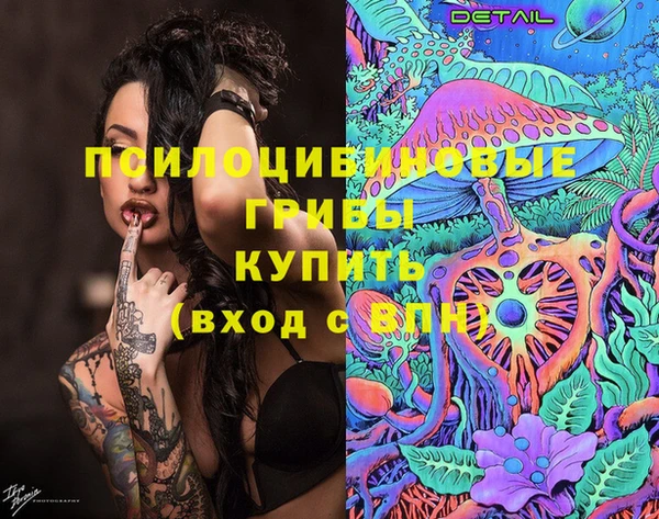 дживик Дмитриев