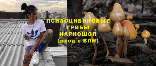 дживик Дмитриев