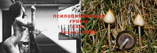 ешки Дмитровск