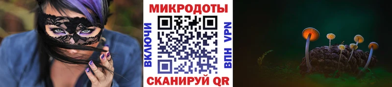 Купить закладки  Володарск  Псилоцибиновые грибы Cubensis 