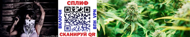 МАРИХУАНА ГИДРОПОН Купить закладки Володарск